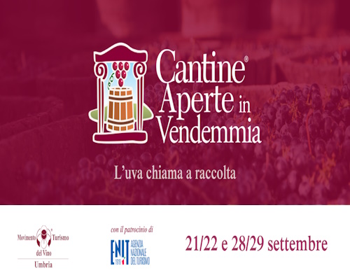  carte de jeu cantine aperte in vendemmia 2024 